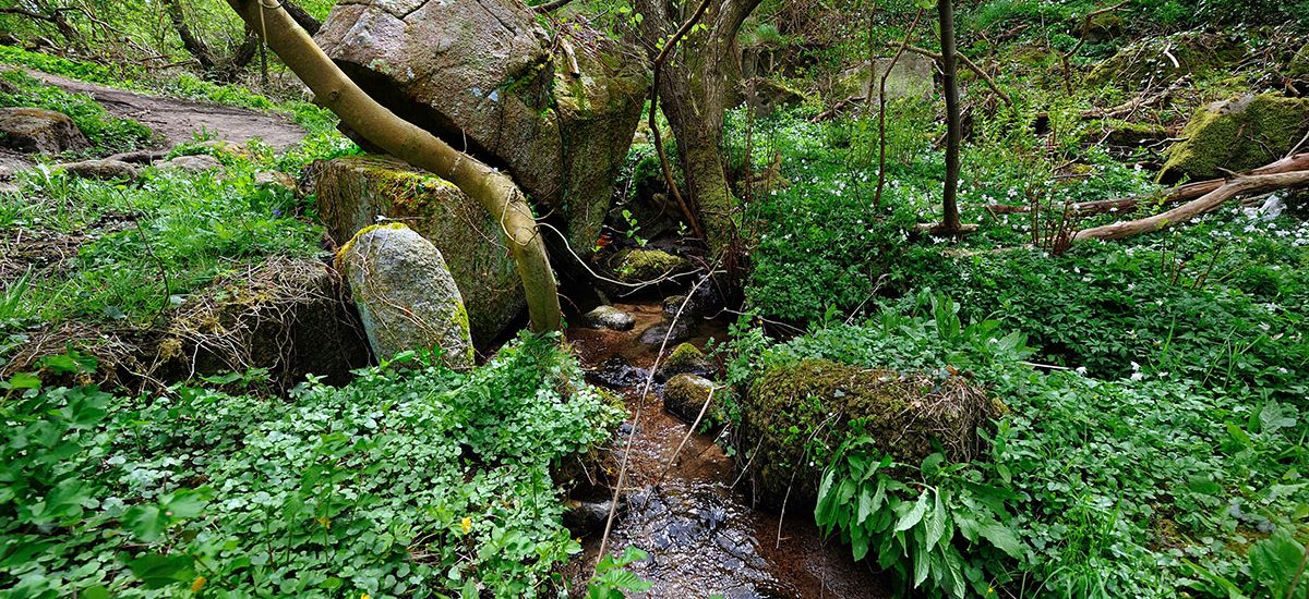 Blåskinsdalen