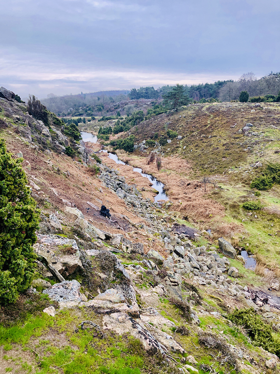 Ravnedalen